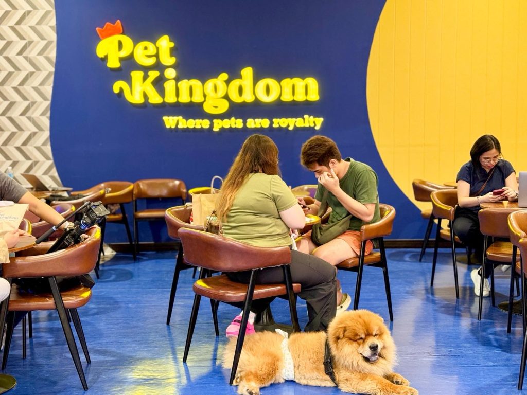 Pet Kingdom, Level 3, Gateway Mall 2, Araneta City